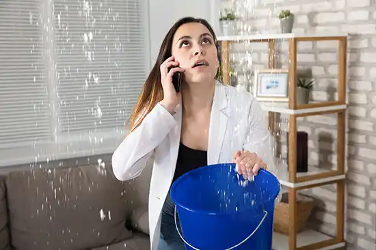 water damage restoration service Burke Meadows